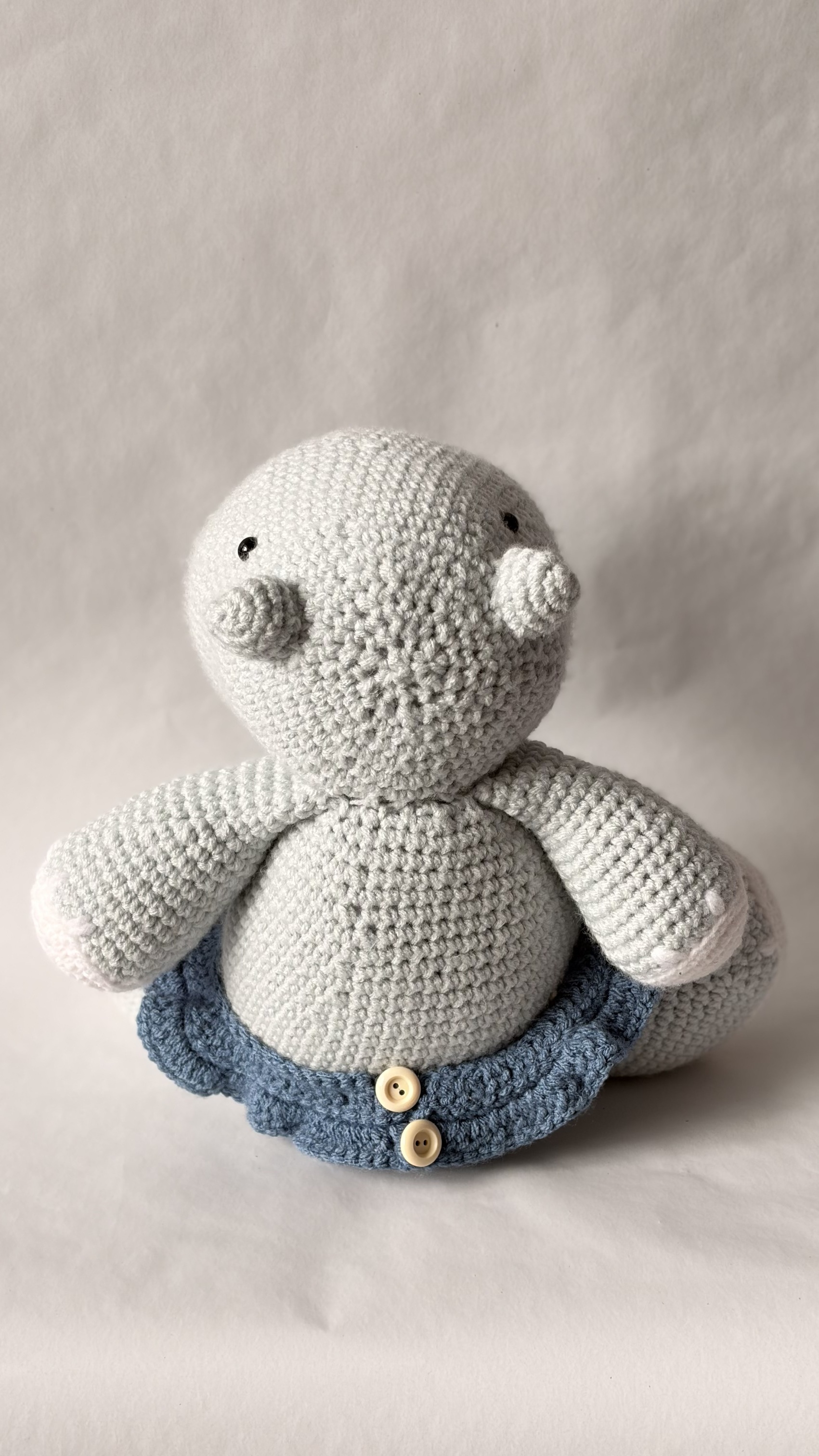Hippo back