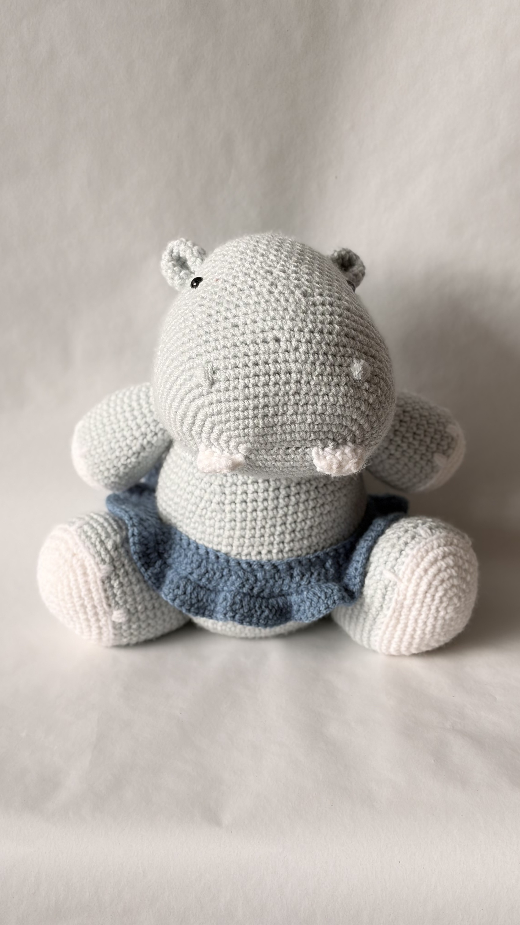 Hippo front