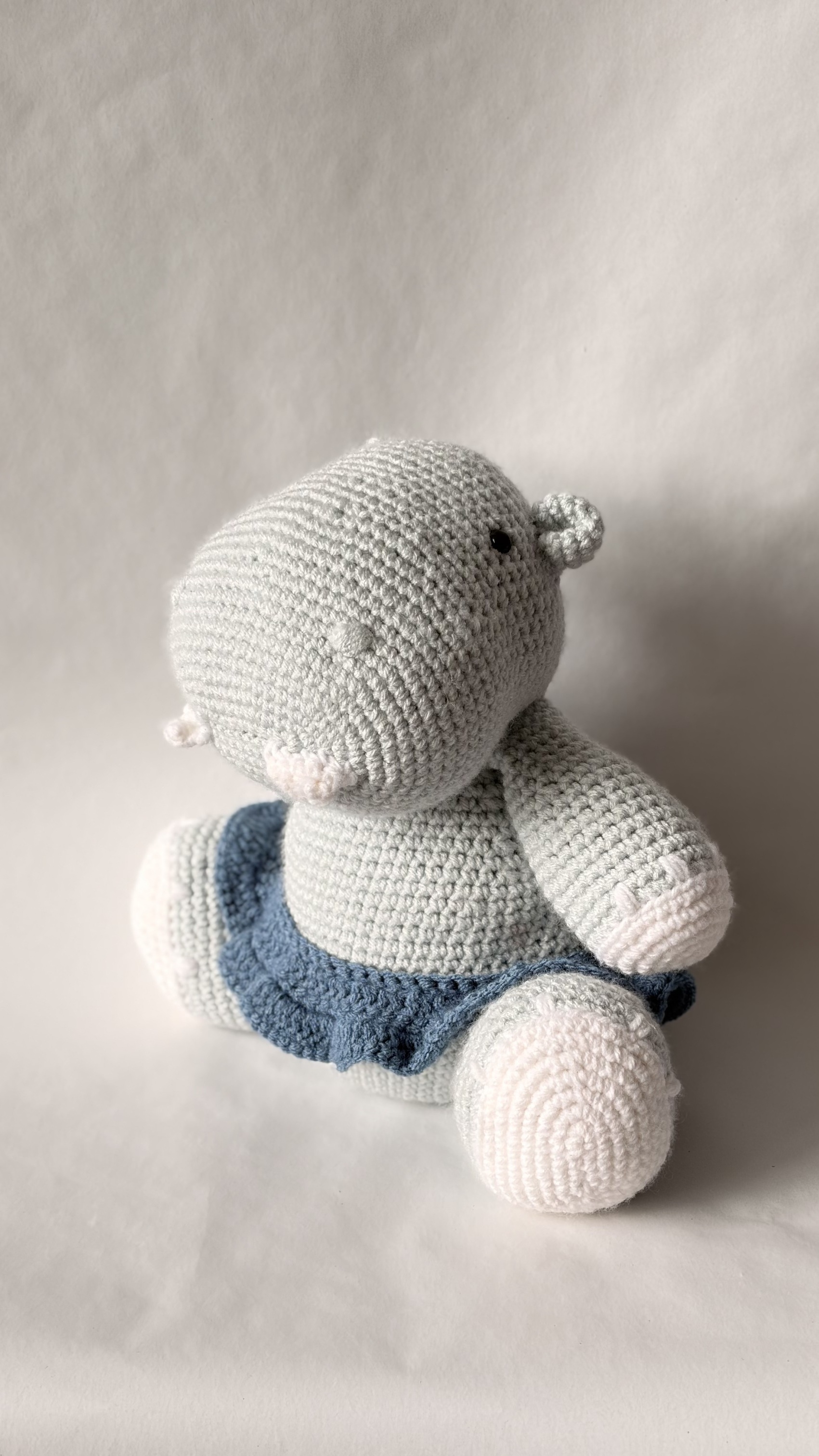 Hippo left side