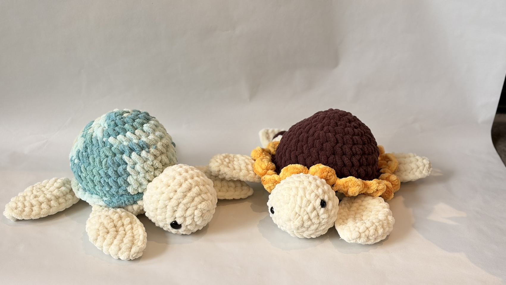 Two turtles